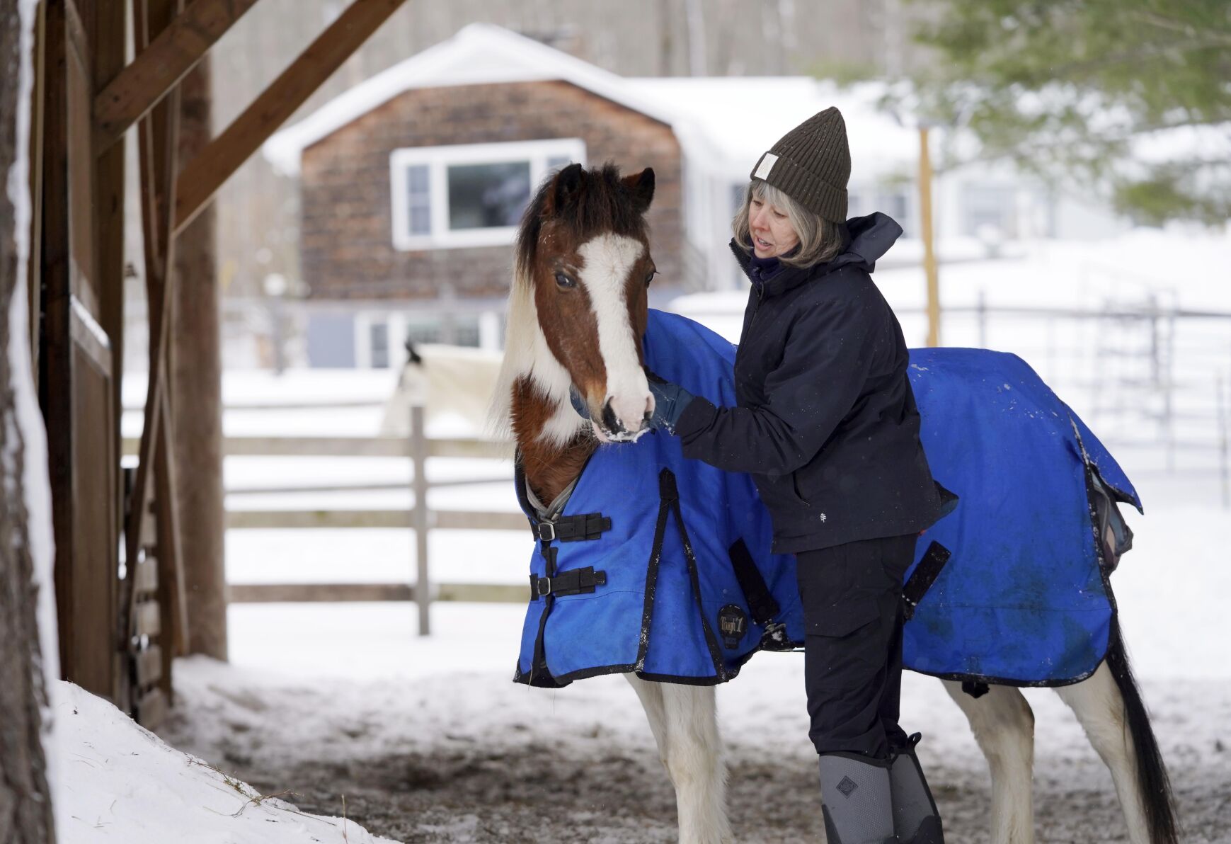 HORSEWORKS-2.jpg